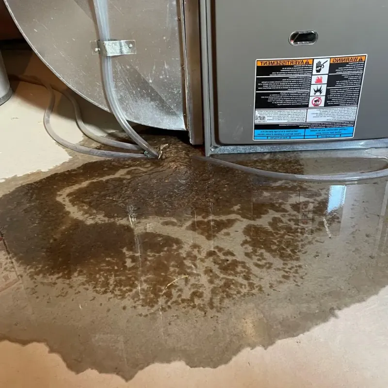 Pipe Burst and Leak Restoration in Lowville, NY